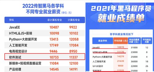 軟件開發(fā)與軟件測(cè)試 如何選擇適合你的網(wǎng)絡(luò)技術(shù)服務(wù)職業(yè)道路？